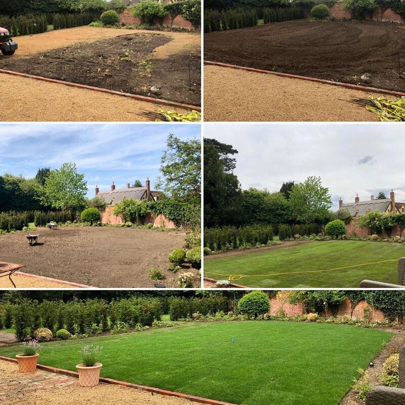 Planting design, turfing and planting in Borley Suffolk